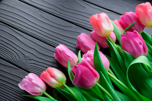 Mother's Day Tulip Large Wrap - Delivery